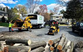 Best Emergency Tree Removal  in Towamensing Trails, PA