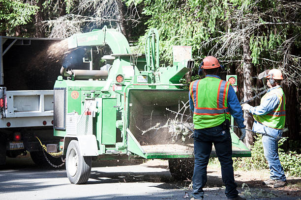  Towamensing Trails, PA Tree Services Pros